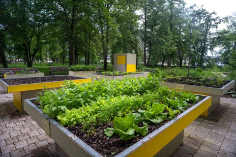 Bild zeigt Mehrgenerationen-Garten im Maximerwäldchen, Bitburg, mit bepflanzten Hochbeet im Vordergrund